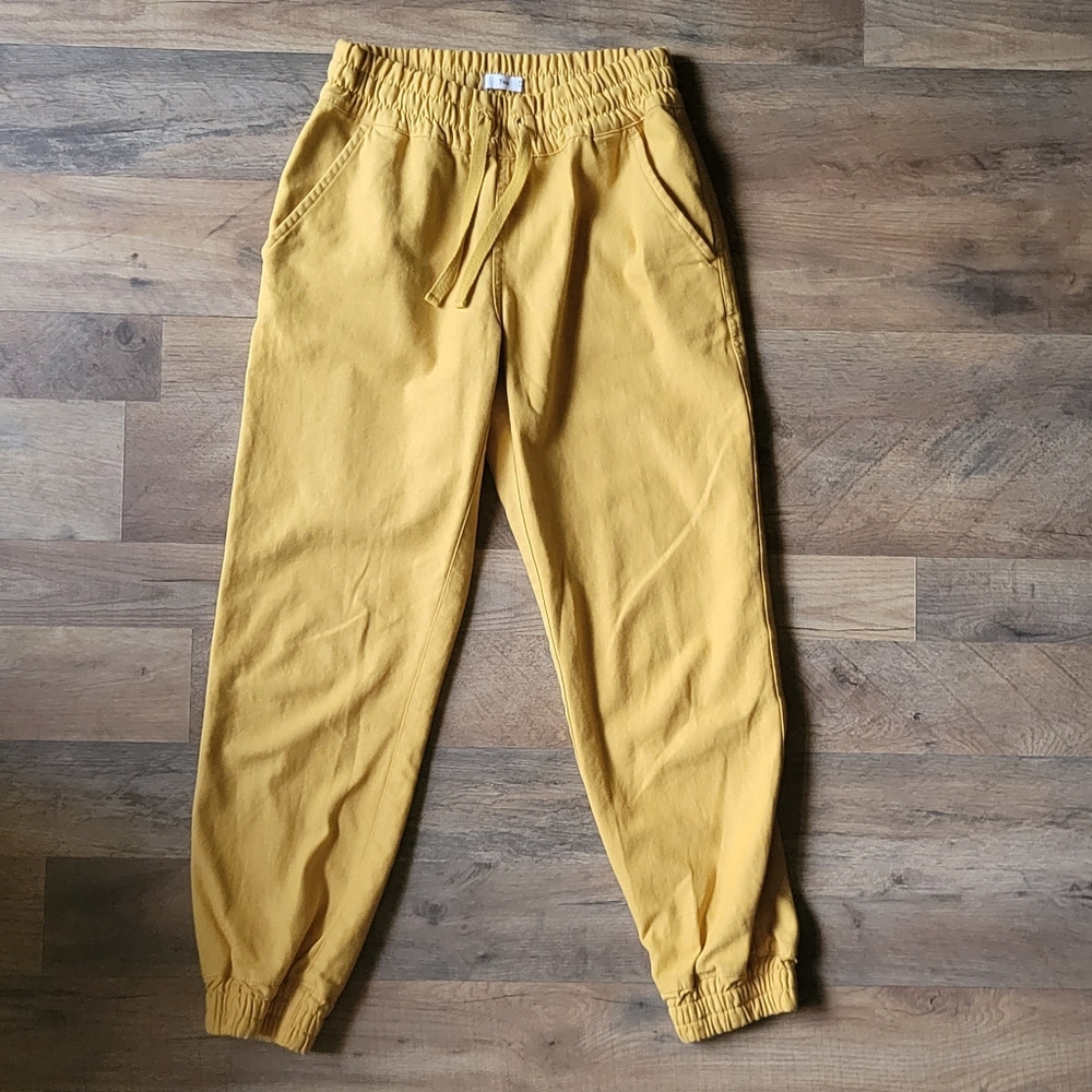 TNA Aritzia Joggers XXS